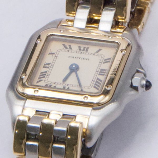 Cartier Panthere 166921